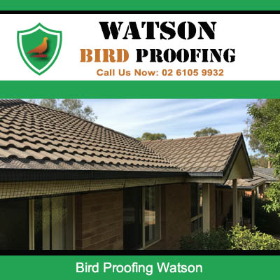 Professional bird proofing services for brick house roofline in Watson area